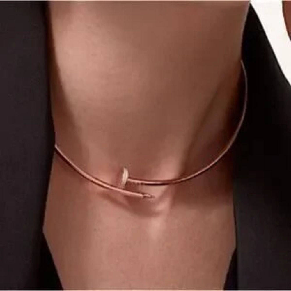 Rose Gold Nail Zircon Choker Necklace Luxury Minimalist